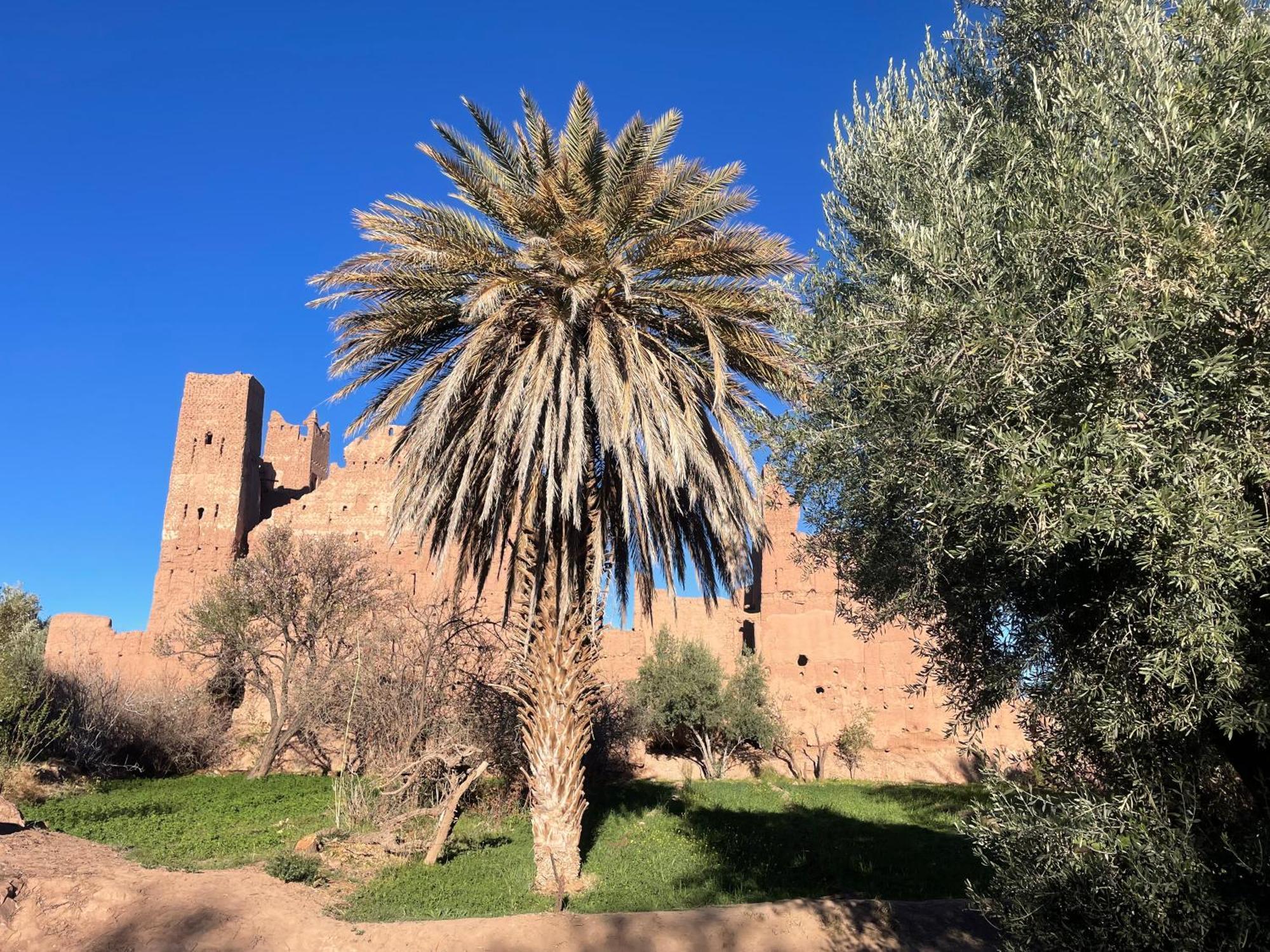 Maroc Des Merveilles - Chez L'Habitant Kelaat-M'Gouna Esterno foto